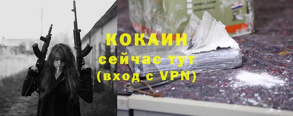 дживик Балахна