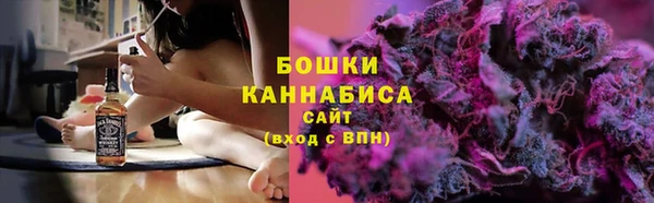 прущие грибы Балабаново