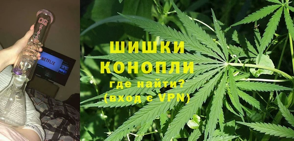 прущие грибы Балабаново