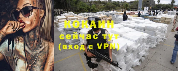 прущие грибы Балабаново