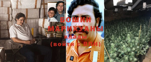 дживик Балахна
