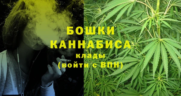 прущие грибы Балабаново