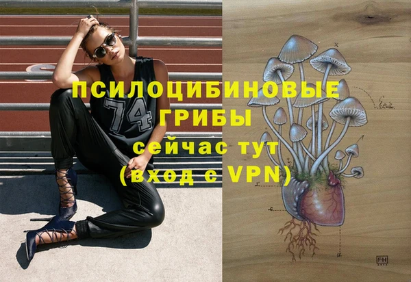 прущие грибы Балабаново
