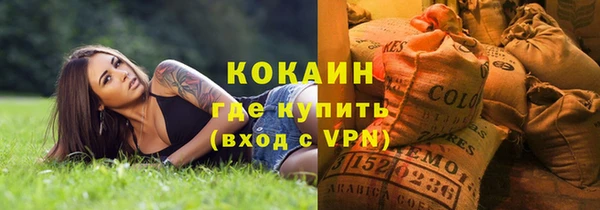 прущие грибы Балабаново